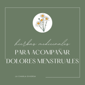 Infusiones para Dolor Menstrual